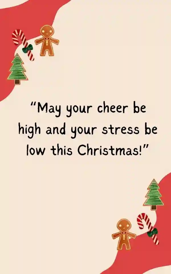 Funny Merry Christmas Wishes