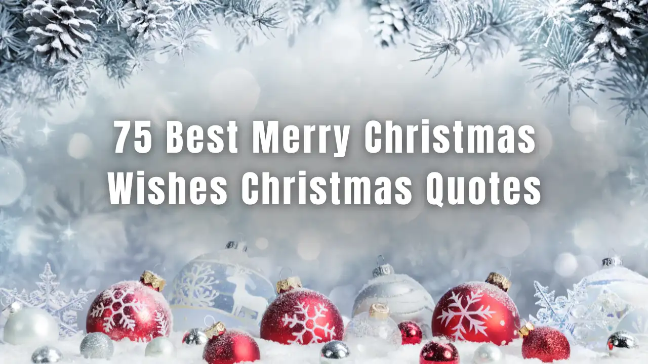 Best Merry Christmas Wishes Christmas Quotes