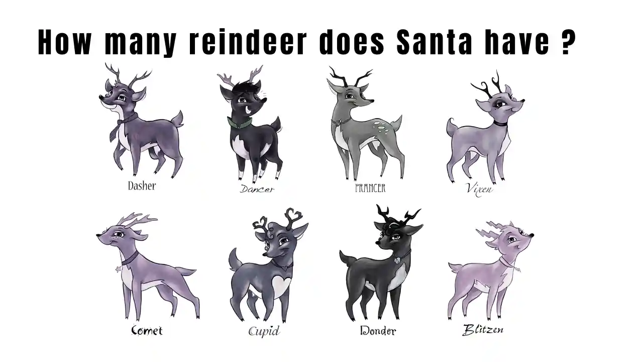 How many reindeer does Santa have