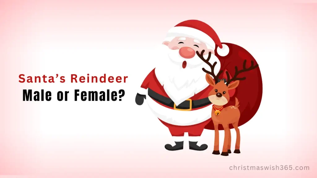 Santa’s Reindeer Male or Female